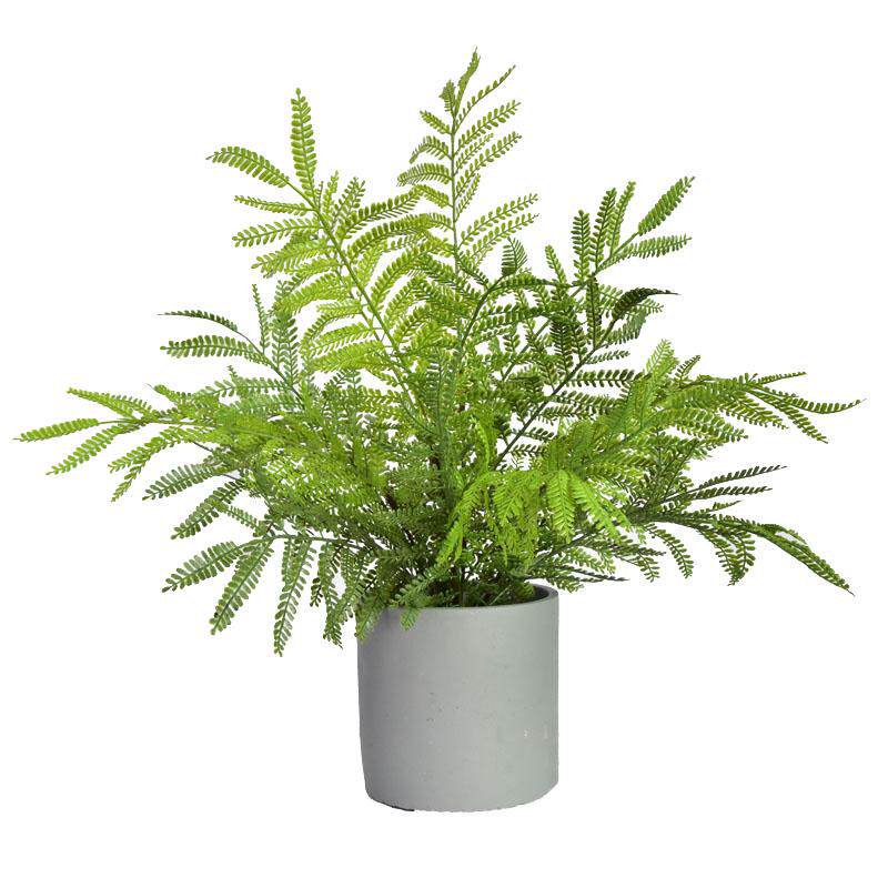 北欧客厅仿真植物蕨类小盆栽创意