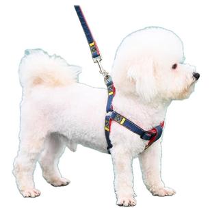 狗狗牵引绳大型中型小型犬狗链子狗项圈泰迪金毛遛狗绳子宠物用品