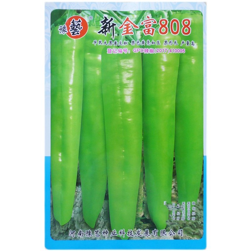 早熟大果黄亮如玉黄皮椒种子