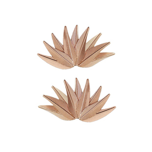 百搭时尚高跟鞋女皮鞋鞋面改造装饰鞋花可拆卸鞋扣夹树叶服饰辅料