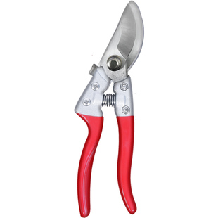 耀星园艺剪刀修枝剪修花剪果树剪枝剪刀花艺园林树枝剪刀工具