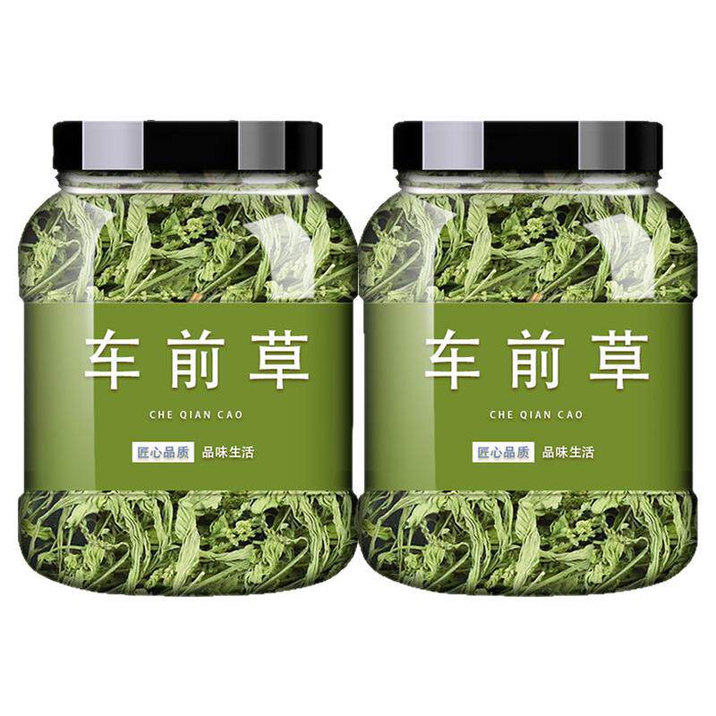 车前草的功效与作用降野生中药材尿新鲜酸土茯苓玉米须蒲公英泡茶