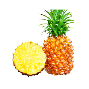 海南金钻凤梨新鲜水果9斤当季粉色风梨香水菠萝特产大果无眼整箱