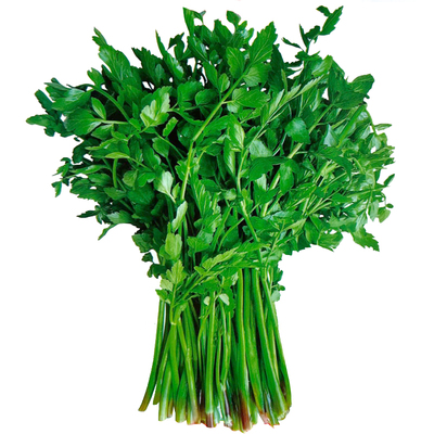 野生水芹菜种子野菜山芹实芹种籽春秋四季阳台盆栽马家沟蔬菜种孑