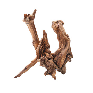 鱼缸造景小型沉木可绑水草天然珊瑚木莫斯树小树桩装饰爬宠攀爬木