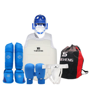 银盛极真空手道护具儿童全套头盔面罩护头拳击散打搏击全防护套装