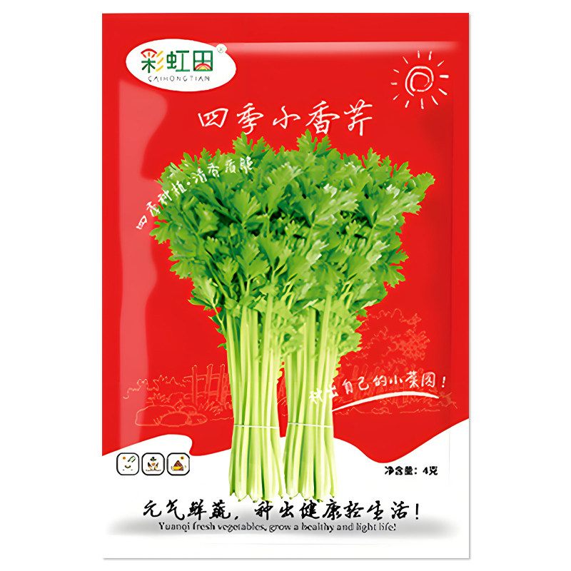 四季小香芹种子脆嫩芹菜种子