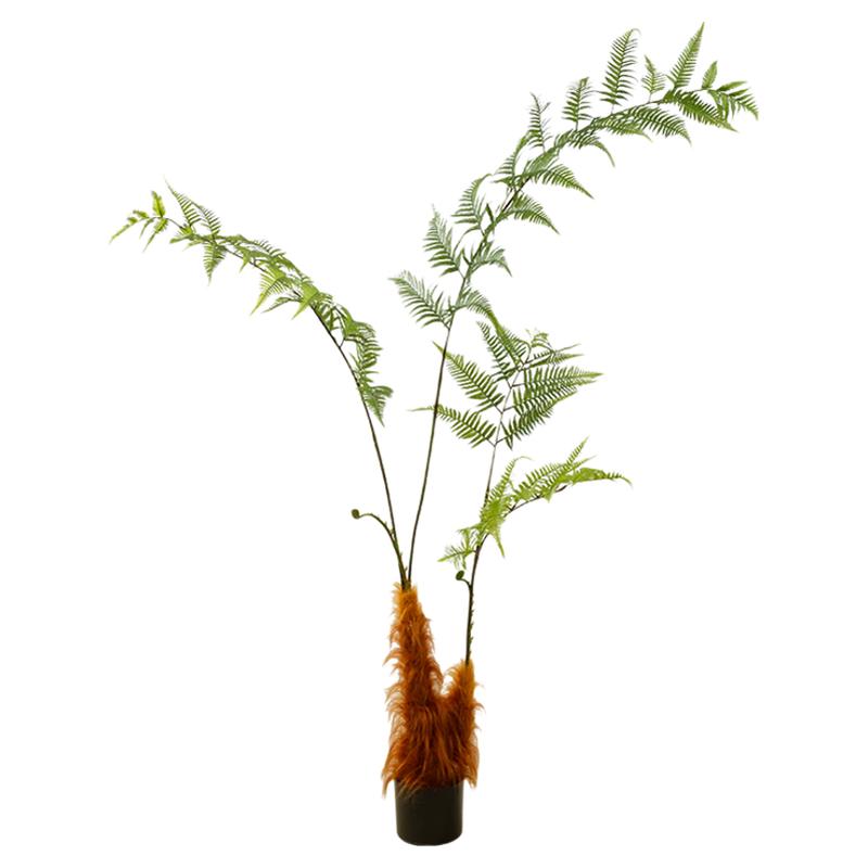 仿真金毛狗蕨猴头蕨植物盆景