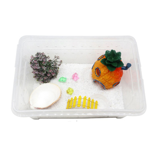 寄居蟹饲养箱盒套餐套装塑料新手迷你懒人宠物亚克力透气儿童礼物