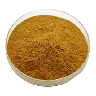 侧柏叶提取物20:1 天然侧柏叶浓缩精华原料粉 品质包邮赠送量勺