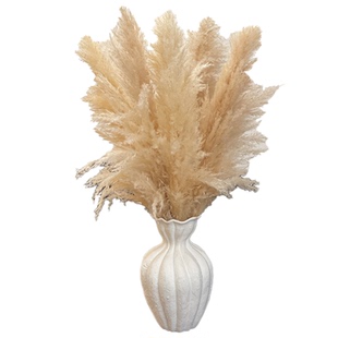 蒲苇大芦苇自然原色干花束婚礼场景布置软装婚庆布景花瓶装饰摆设