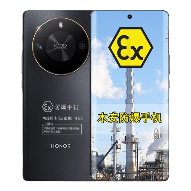 荣耀X50 GT 5G骁龙8+芯片 5800mAh超大电池 定制防爆手机 化工厂医药EX工业天然气石油库专用 (带证书)
