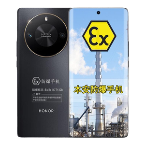 荣耀X50 GT 5G骁龙8+芯片 5800mAh超大电池 定制防爆手机 化工厂医药EX工业天然气石油库专用 （带证书）