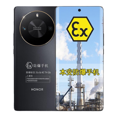 荣耀X50 GT 5G骁龙8+芯片 5800mAh超大电池 定制防爆手机 化工厂医药EX工业天然气石油库专用 （带证书）