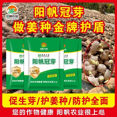 阳帆冠芽 大姜促壮芽 护姜种 可喷施或浸泡姜种1000-1500斤