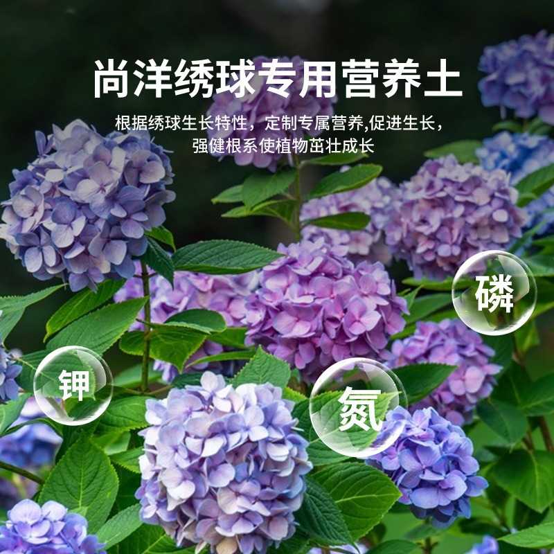 尚洋绣球花专用土营养八仙花土壤绣球通用土壤土花花种植紫阳土