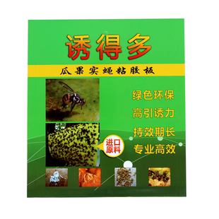 诱得多实蝇粘胶板针蜂粘果蝇贴果园苍蝇蜜蜂贴瓜果树粘蝇板果实蝇