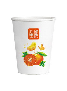 纸杯子一次性水杯整箱批发500只