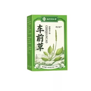 同仁堂信盛堂车前草野生中药尿降酸泡水喝干货官方旗舰店正宗正品
