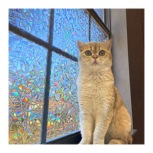 玻璃贴纸玻璃窗防窥膜浴室卫生间窗户静电好看玻璃贴膜透光不透人