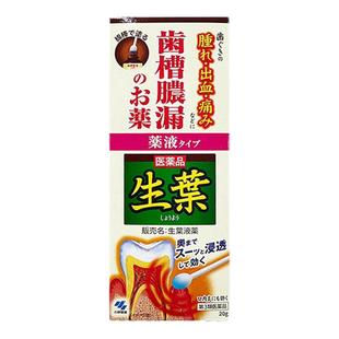 小林制药生叶口内涂抹药牙周炎肿胀牙龈脓肿炎症疼痛止出血涂抹膏