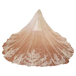 新娘头纱主婚纱头饰超仙高级感影楼结婚纱长款拖尾婚礼蕾丝发饰白