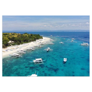 菲律宾薄荷岛鲸鲨•沙丁鱼风暴•巴里卡萨•巧克力山【三日游】