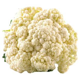 阳台田园春秋种植蔬菜种子雪妃花椰菜西兰花籽种庭院播种花菜种子