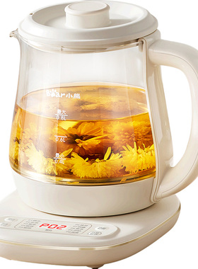精致养生壶煮花茶壶办公室一人用