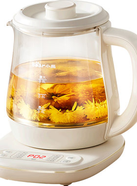精致养生壶煮花茶壶办公室一人用