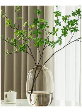 玻璃大肚花瓶客厅|超2.9万次加购