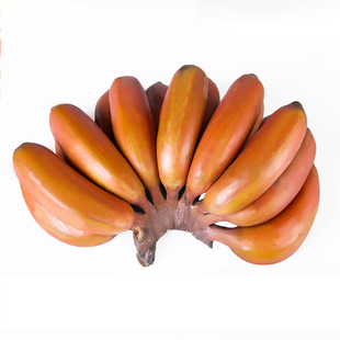 福建土楼红美人香蕉5斤整箱新鲜现摘应当季水果红皮芭蕉小米包邮