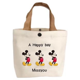 帆布袋2025新款小巧便携手提包夏季简约百搭卡通便当包托特手拎包