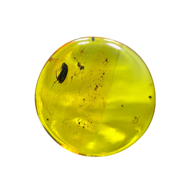 纯天然琥珀蜜蜡甲虫昆虫化石标本