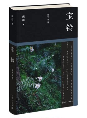庆山安妮宝贝作品全集月童度河书