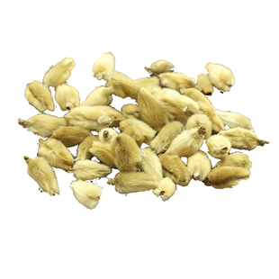 中国辛夷之乡原产地道地野生辛夷花中药材官方正品香料毛桃