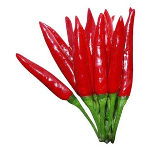 英邦新8号辣椒种子朝天椒种子红辣椒小米辣小米椒小红尖椒种子孑