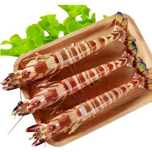 七条船舟山野生九节虾竹节虾大鲜活特大斑节虾超大活新鲜冷冻明虾