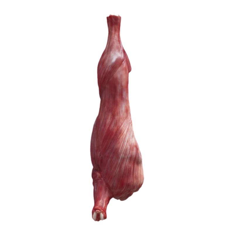 仿真生牛肉模型样品道具