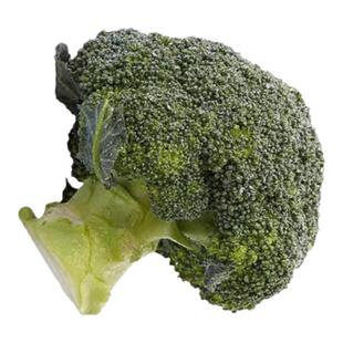 西兰花种孑苗青花菜种籽西蓝椰菜苗早熟高产春秋四季蔬菜秧子大田