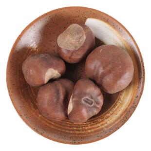 中药材 正品娑罗子 500克 娑罗籽 梭罗子 婆罗子 桫椤果 梭罗果