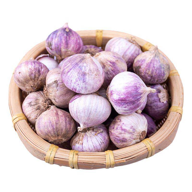 2026独头干蒜大蒜头新鲜紫皮独蒜红珍珠辣鲜蒜5蔬菜当季箱包邮