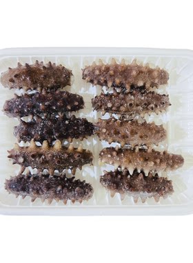 鲜食海参即食佛跳墙炖煮葱烧海参