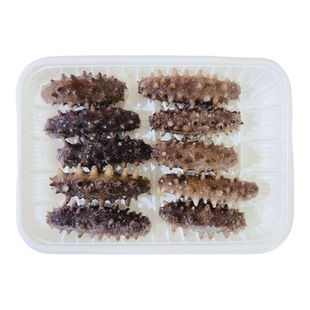 鲜食海参即食参约300g/10只 大连海参化冻即用佛跳墙炖煮葱烧海参
