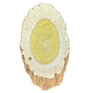 甘肃定西野生黄芪片新货纯天然野生中药材正北黄芪芪整根切片500g