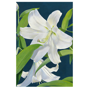 diy数字油画手工填充填色油彩画高级感百合花卉手绘简约ins装饰画