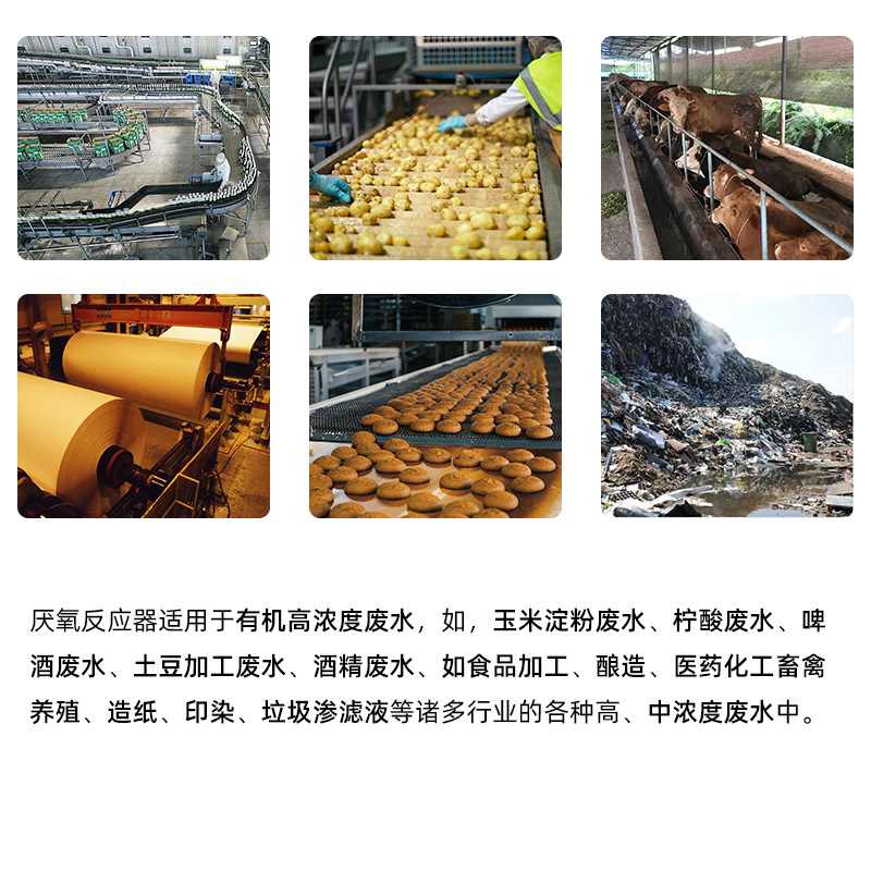 UASB反应器有机高浓度废水处理设备食品加工养殖污水厌氧塔