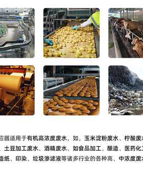UASB反应器有机高浓度废水处理设备食品加工养殖污水厌氧塔