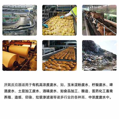 UASB反应器有机高浓度废水处理设备食品加工养殖污水厌氧塔