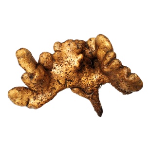 【新鲜现挖】武穴佛手山药梅川佛手山药蕲春黄梅天然种植营养健康